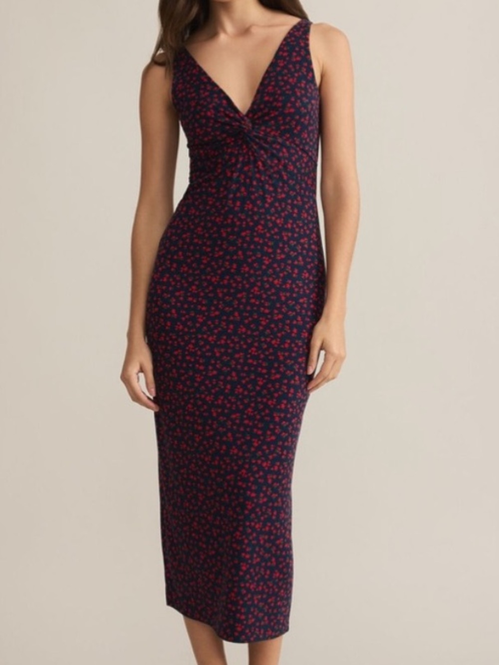 NWT Z Supply Eleve La Rosa Ditsy Dress